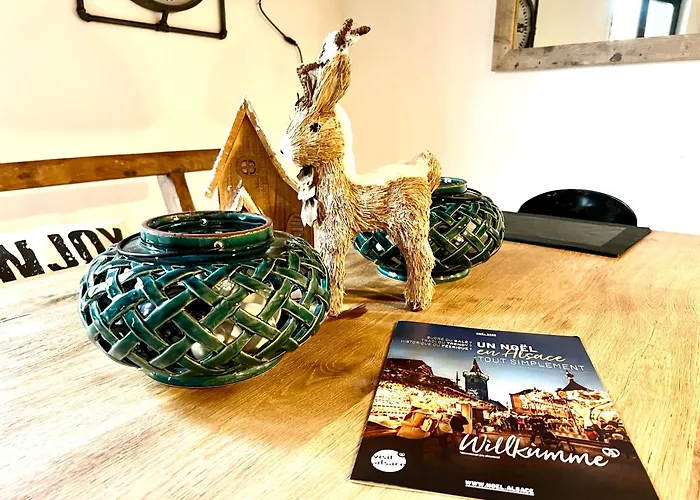 La Maison Du Batelier - Quartier Historique Petite Venise