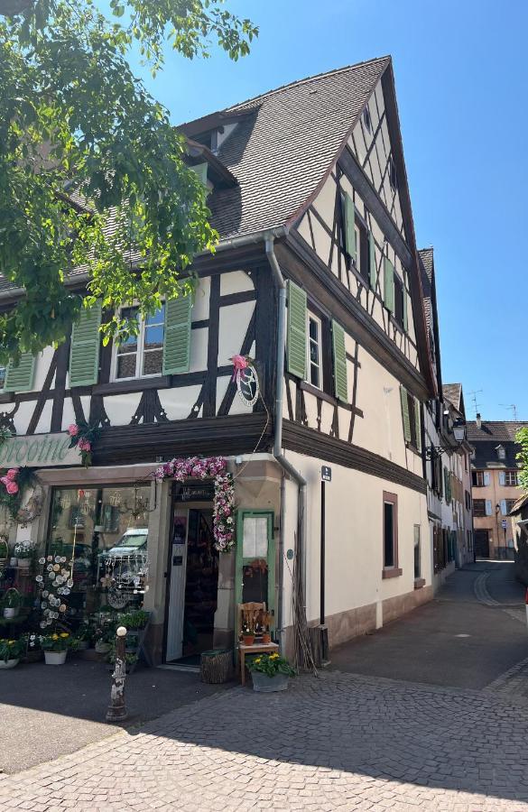 Apartment La Maison Du Batelier - Quartier Historique Petite Venise Colmar